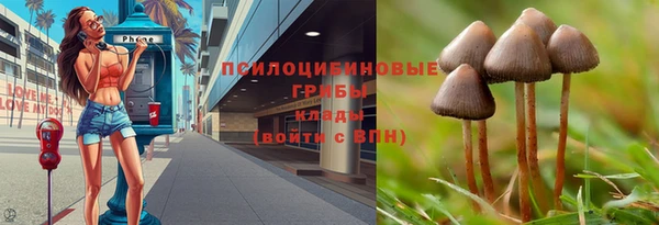 МДПВ Беслан