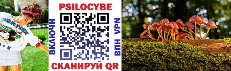 OMG сайт  Мглин  Псилоцибиновые грибы Psilocybe  купить  